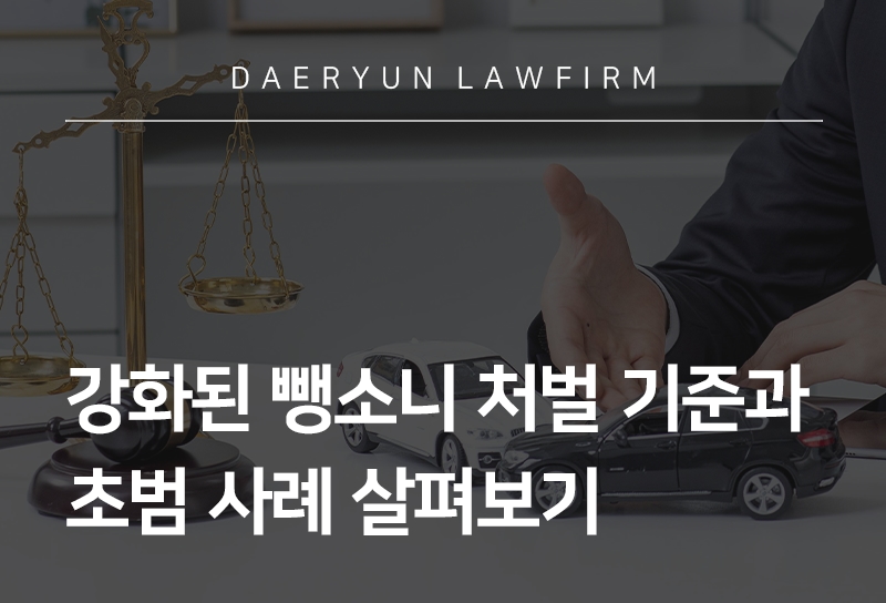 뺑소니처벌