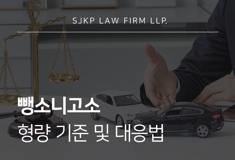 뺑소니고소
