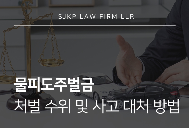 물피도주벌금