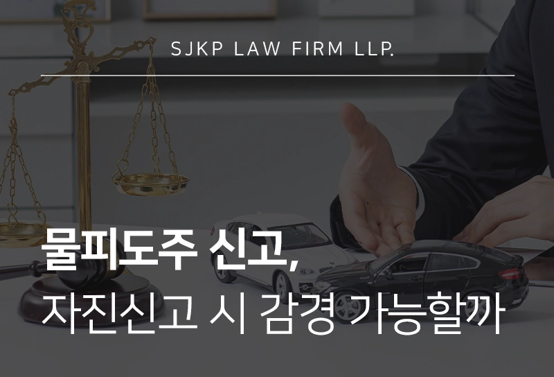 물피도주신고, 자진신고 시 처벌 감경이 가능할까?