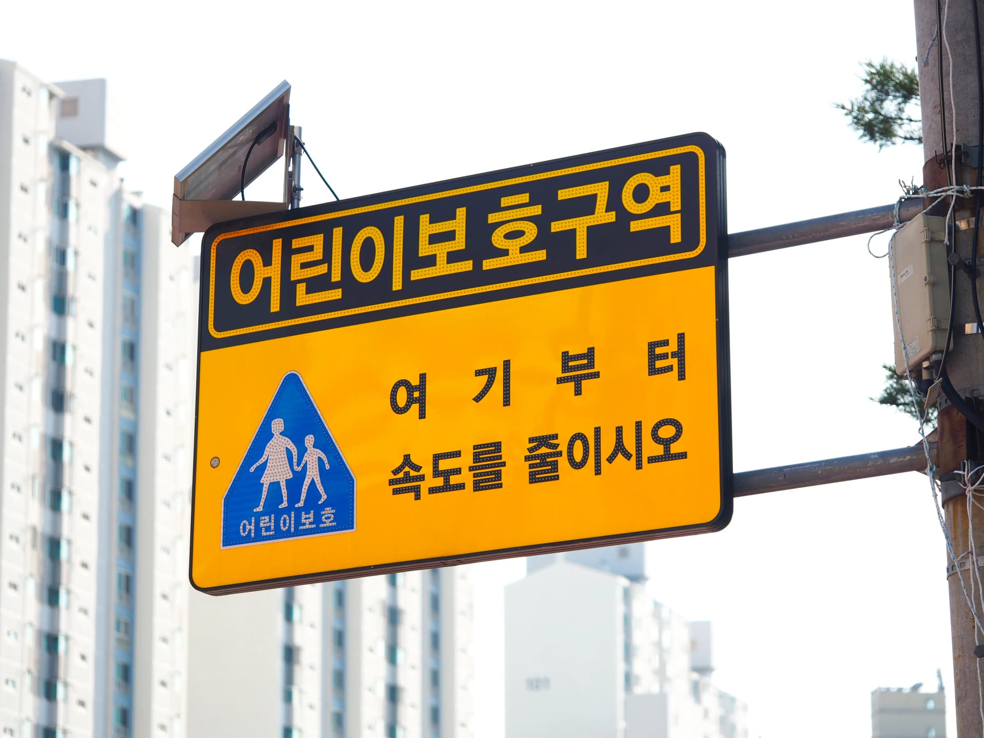 민식이법처벌 시행 동향 대응 필요성