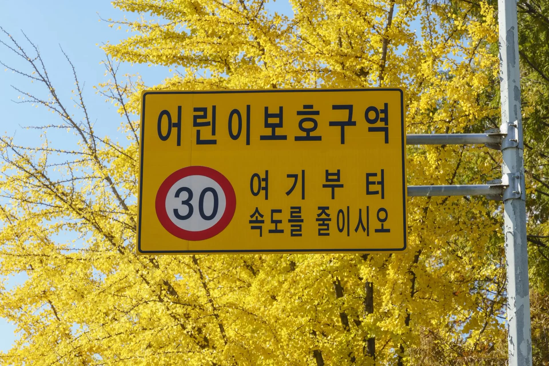 법무법인 대륜의 어린이보호구역교통사고/민식이법 개념 설명