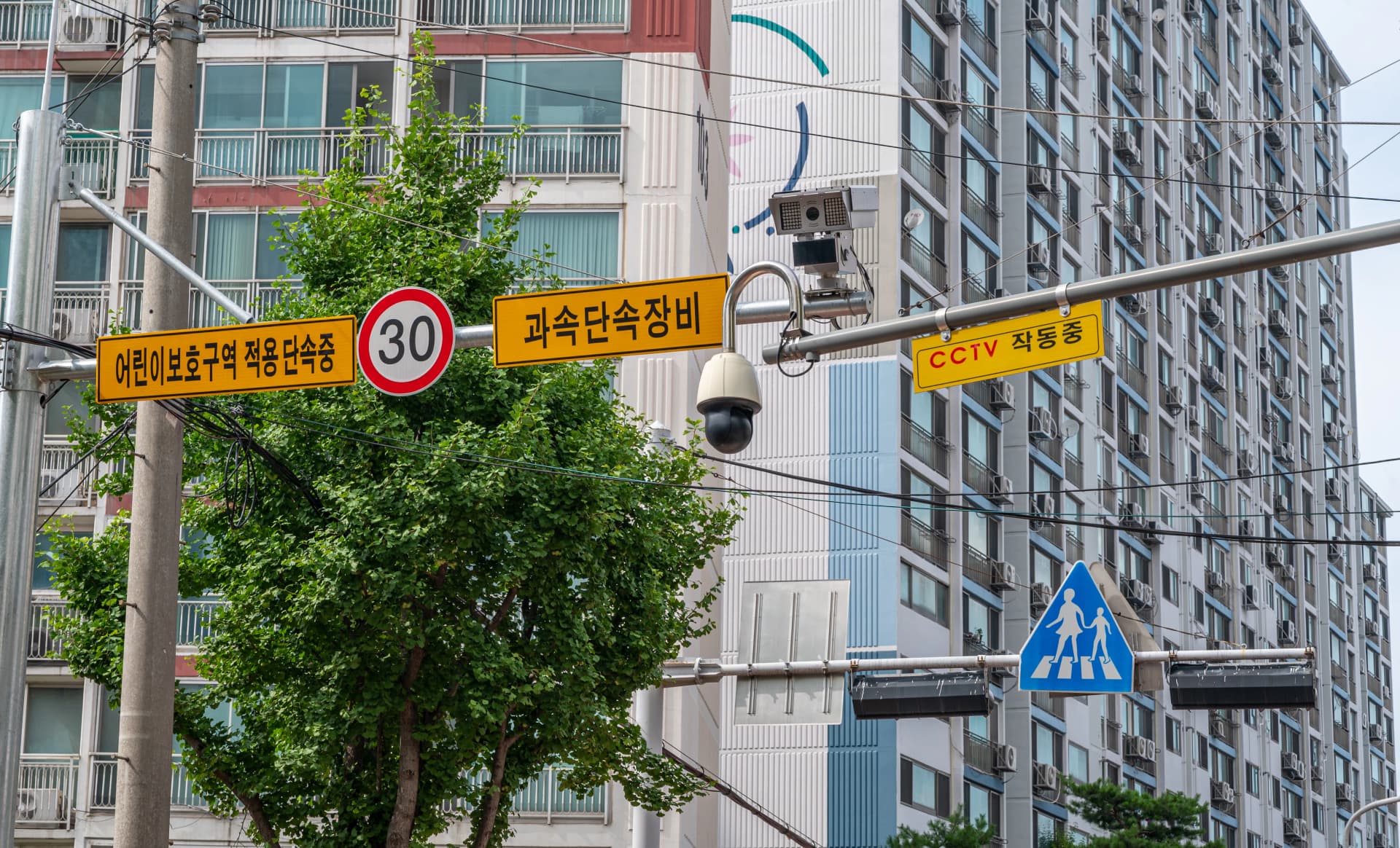 스쿨존교통사고 발생 대응 방법 법률 정보