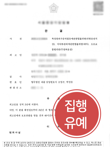 위험운전치상 형량 벌금 처벌 방어하여 받은 집행유예